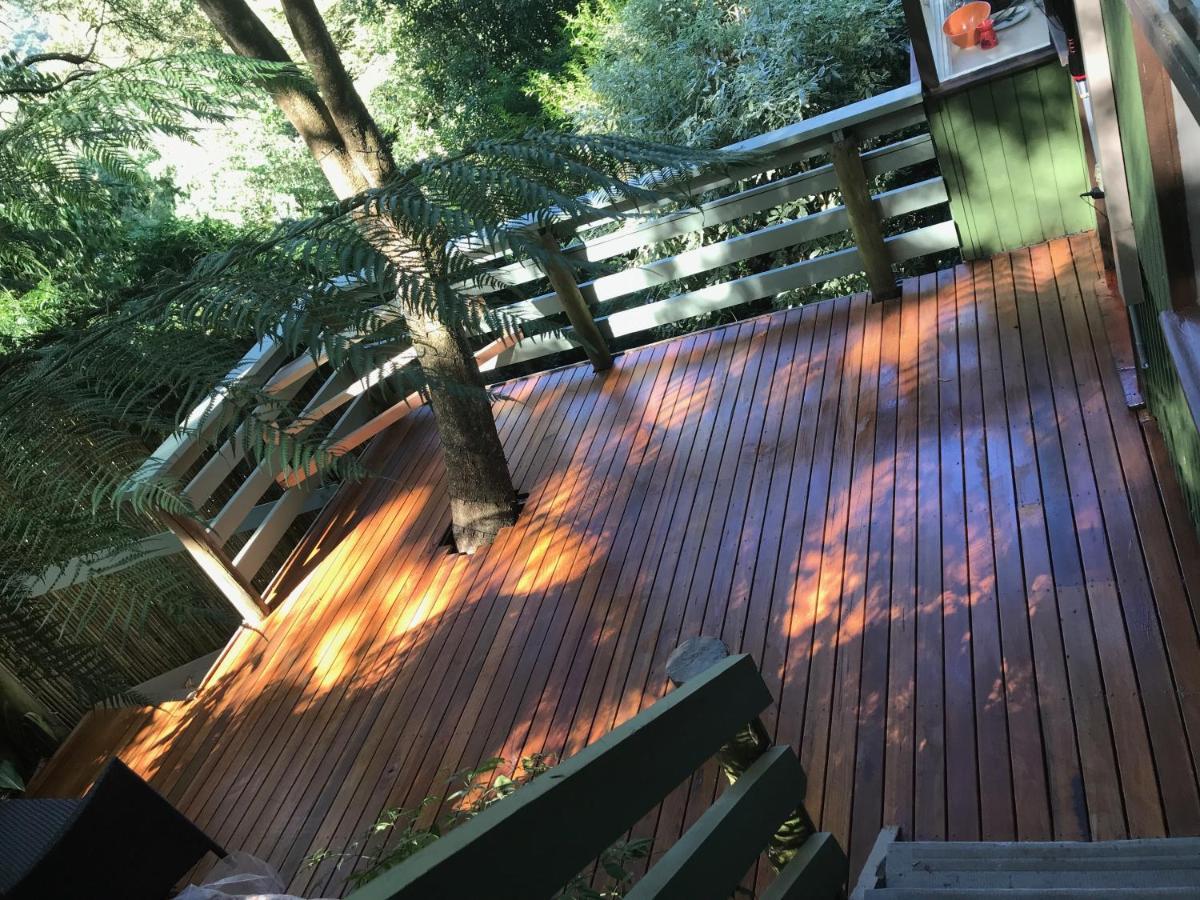 Sassafras Treehouse Private Home In The Dandenong Ranges, Victoria Extérieur photo