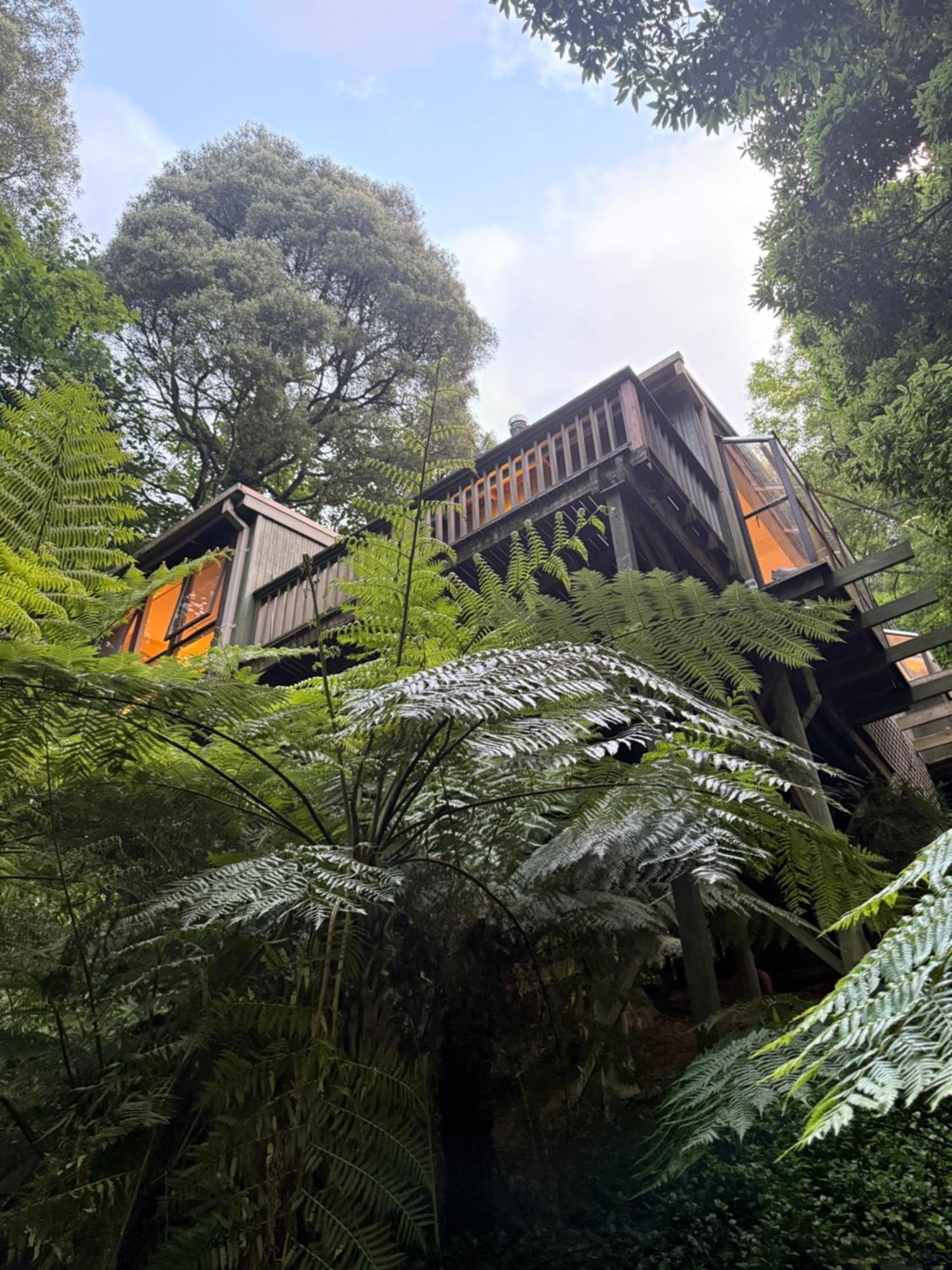 Sassafras Treehouse Private Home In The Dandenong Ranges, Victoria Extérieur photo