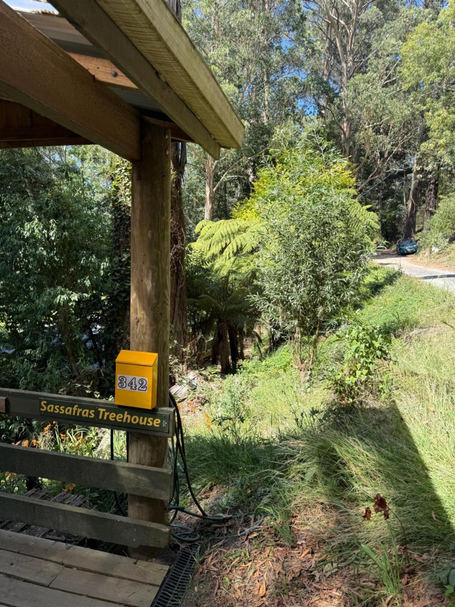 Sassafras Treehouse Private Home In The Dandenong Ranges, Victoria Extérieur photo