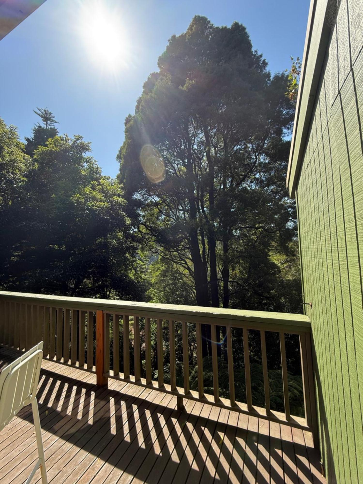 Sassafras Treehouse Private Home In The Dandenong Ranges, Victoria Extérieur photo